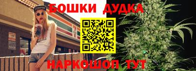 кокс Аша