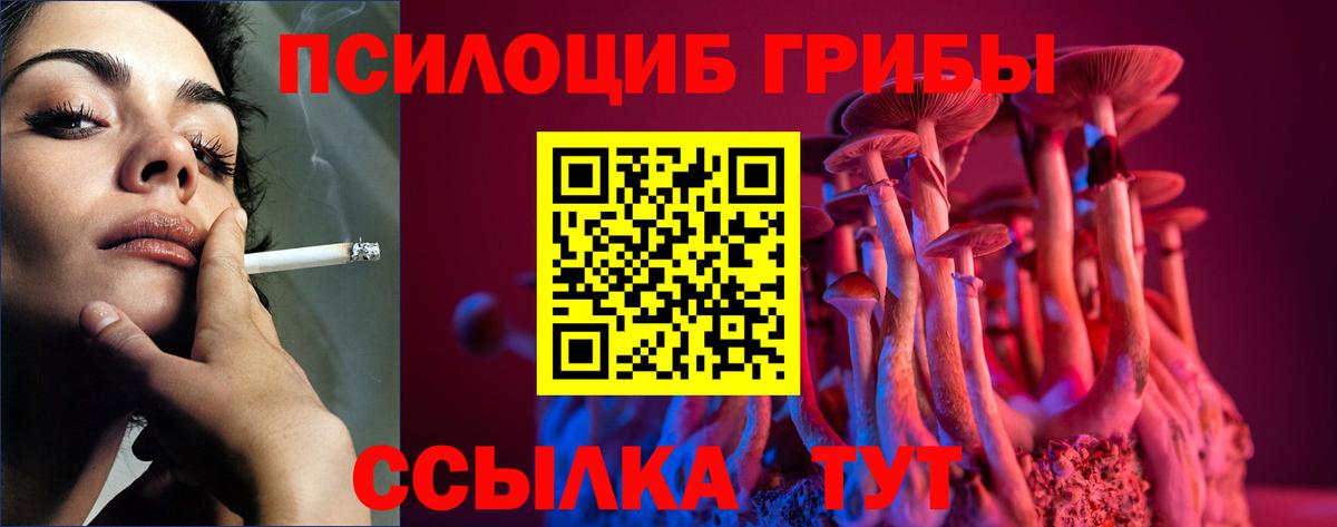 Псилоцибиновые грибы MAGIC MUSHROOMS Чебаркуль